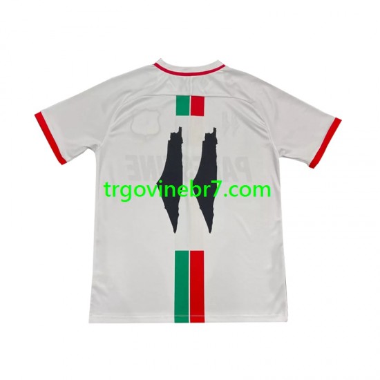 Dres Club Deportivo Palestino Center Stripre Gostujući 2024-2025 Kratkih Rukava - Muški