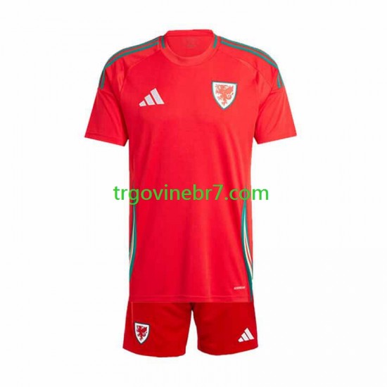 Dres Wales Domaći 2024 Kratkih Rukava - Dječji
