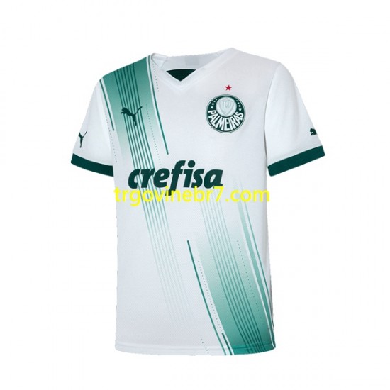 Dres Palmeiras Gostujući 2023-2024 Kratkih Rukava - Muški