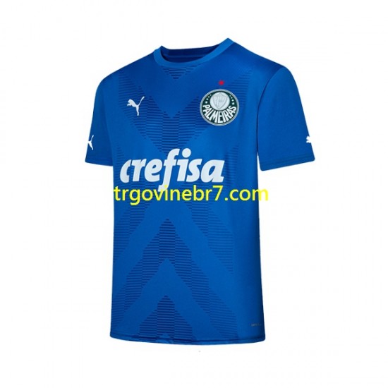 Golmanski Dres - Dres Palmeiras Domaći 2023-2024 Kratkih Rukava - Muški