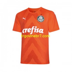 Golmanski Dres - Dres Palmeiras Treći 2022-2023 Kratkih Rukava - Muški