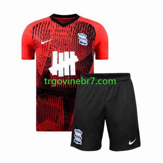 Dres Birmingham City Gostujući 2023-2024 Kratkih Rukava - Dječji