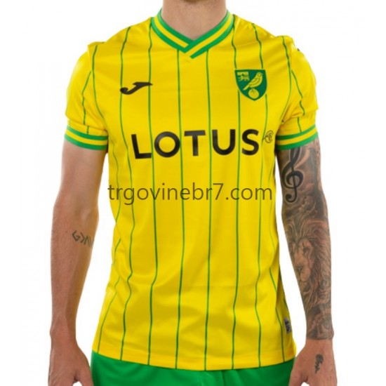Dres Norwich City Domaći 2022-2023 Kratkih Rukava - Muški