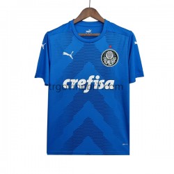 Golmanski Dres - Dres Palmeiras Gostujući 2022-2023 Kratkih Rukava - Muški