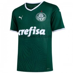Dres Palmeiras Domaći 2022-2023 Kratkih Rukava - Muški Dres Palmeiras Domaći 2022-2023 Kratkih Rukava - Muški