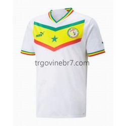 Dres Senegal Domaći World Cup 2022 Kratkih Rukava - Muški Dres Senegal Domaći World Cup 2022 Kratkih Rukava - Muški