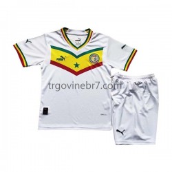 Dres Senegal Domaći World Cup 2022 Kratkih Rukava - Dječji