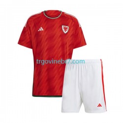 Dres Wales Domaći World Cup 2022 Kratkih Rukava - Dječji