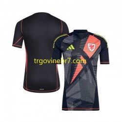 Golmanski Dres - Dres Wales Domaći 2024 Kratkih Rukava - Muški Golmanski Dres - Dres Wales Domaći 2024 Kratkih Rukava - Muški