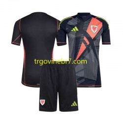Golmanski Dres - Dres Wales Domaći 2024 Kratkih Rukava - Dječji Golmanski Dres - Dres Wales Domaći 2024 Kratkih Rukava - Dječji